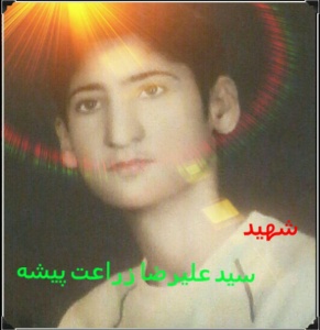 شهید سید علیرضا زراعت پیشه